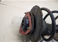  Амортизатор подвески Nissan Murano 2002-2008 20343623 #2