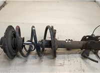  Амортизатор подвески Nissan Murano 2002-2008 20343625 #1