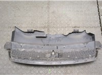  Решетка радиатора Ford Focus 2 2005-2008 20343627 #4