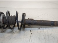  Амортизатор подвески BMW 3 E46 1998-2005 20343656 #1