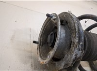  Амортизатор подвески BMW 3 E46 1998-2005 20343656 #2
