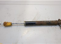 Амортизатор подвески Hyundai Santa Fe 2000-2005 20343755 #1