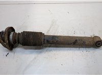  Амортизатор подвески BMW X5 E53 2000-2007 20343840 #1