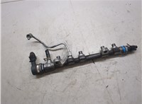  Рампа (рейка) топливная Toyota Urban Cruiser 20343841 #1