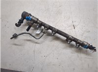  Рампа (рейка) топливная Toyota Urban Cruiser 20343841 #2