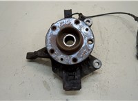  Ступица (кулак, цапфа) Renault Megane 3 2009-2016 20343967 #1