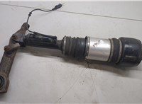 A2193201213 Амортизатор подвески Mercedes CLS C219 2004-2010 20344069 #2