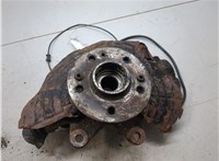 A1633340010 Ступица (кулак, цапфа) Mercedes ML W163 1998-2004 20344234 #5
