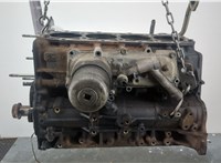  Блок цилиндров (Шорт блок) Nissan Terrano 2 1993-2006 20344353 #5