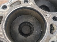  Блок цилиндров (Шорт блок) Nissan Terrano 2 1993-2006 20344353 #9