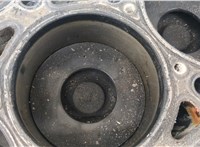  Блок цилиндров (Шорт блок) Nissan Terrano 2 1993-2006 20344353 #10