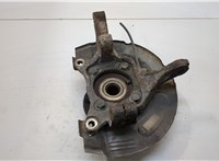  Ступица (кулак, цапфа) Mitsubishi Grandis 20344393 #1