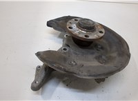  Ступица (кулак, цапфа) Volkswagen Passat 6 2005-2010 20344517 #1