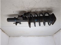 1866906, 1866907, 1866908 Амортизатор подвески Ford Focus 3 2014-2019 20344662 #6