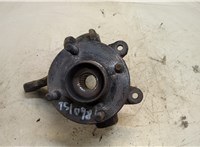  Ступица (кулак, цапфа) Ford Fusion 2002-2012 20344864 #1
