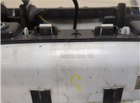 253803NA0A Кнопка открывания багажника Nissan Leaf 2010-2017 20345597 #6