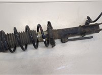  Амортизатор подвески Ford EcoSport 2017- 20345682 #1