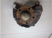504054504 Ступица (кулак, цапфа) Iveco Daily 3 2000-2005 20345870 #1