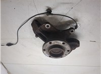 A9063303420 Ступица (кулак, цапфа) Mercedes Sprinter 2006-2018 20346140 #3