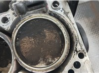  Блок цилиндров (Шорт блок) Nissan X-Trail (T30) 2001-2006 20346229 #8