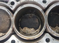  Блок цилиндров (Шорт блок) Nissan X-Trail (T30) 2001-2006 20346229 #10