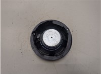  Динамик Volkswagen Passat 6 2005-2010 20346234 #2