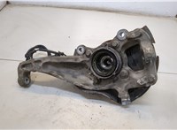  Ступица (кулак, цапфа) Ford F-150 2014-2020 20346455 #2