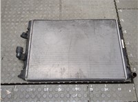  Радиатор охлаждения двигателя Volkswagen Tiguan 2011-2016 20347038 #1