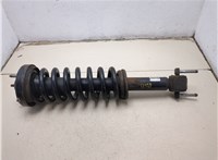FL3418045EC, 1A16935A Амортизатор подвески Ford F-150 2014-2020 20347224 #4
