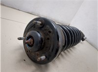 FL3418045EC, 1A16935A Амортизатор подвески Ford F-150 2014-2020 20347224 #5