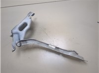  Петля капота Ford F-150 2014-2020 20347482 #3