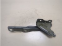 95421581 Петля капота Chevrolet Trax 2016-2022 20347493 #1