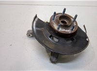 13585440, 13319483, 13590795 Ступица (кулак, цапфа) Opel Ampera 2011-2015 20347622 #1