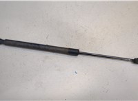  Амортизатор крышки багажника Volkswagen Tiguan 2011-2016 20348010 #1