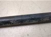  Амортизатор капота Ford F-250 2010-2016 20348245 #2
