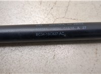  Амортизатор капота Ford F-250 2010-2016 20348248 #2