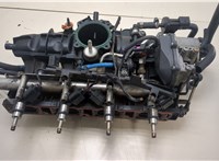  Коллектор впускной Volkswagen Passat 6 2005-2010 20348593 #1