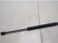  Амортизатор капота Ford F-150 2014-2020 20348629 #1