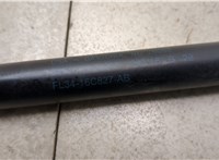  Амортизатор капота Ford F-150 2014-2020 20348629 #2