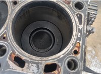 03L100104D Блок цилиндров (Шорт блок) Audi A1 (8X) 2010-2018 20348663 #8