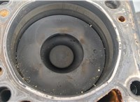 11009VW202 Блок цилиндров (Шорт блок) Nissan Terrano 2 1993-2006 20348696 #10