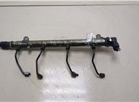  Рампа (рейка) топливная Mercedes C W203 2000-2007 20350088 #1