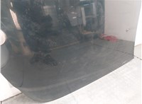  Форсунка омывателя стекла SsangYong Rexton 2001-2007 11373735 #14