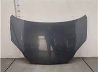 60100SWWG00ZZ Капот Honda CR-V 2007-2012 20350744 #1