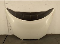  Капот Nissan Leaf 2010-2017 20351085 #1
