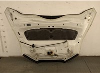  Капот Nissan Leaf 2010-2017 20351085 #9