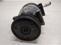 Компрессор кондиционера Renault Scenic 1996-2002 20351851 #2