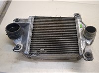  Радиатор интеркулера Nissan Terrano 2 1993-2006 20352198 #1
