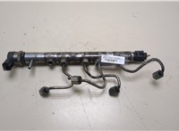  Рампа (рейка) топливная BMW X1 (E84) 2009-2015 20352430 #1
