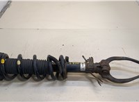  Амортизатор подвески Infiniti FX 2008-2012 20352726 #1